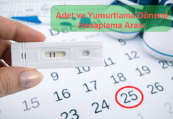 Adet ve Yumurtlama Dönemi Hesaplama