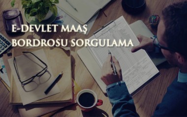 E-Devlet Maaş Bordrosu Sorgulama Hizmeti