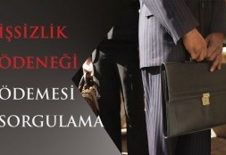 İşsizlik Ödeneği Ödemesi Sorgulama