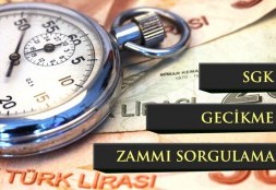 SGK Gecikme Zammı Sorgulama 