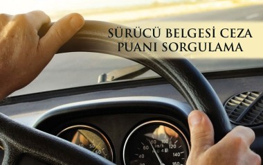 Sürücü Belgesi Ceza Puanı Sorgulama