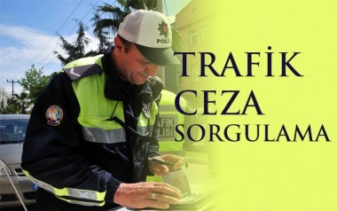 Trafik Cezası Sorgulama