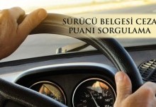 Sürücü Belgesi Ceza Puanı Sorgulama